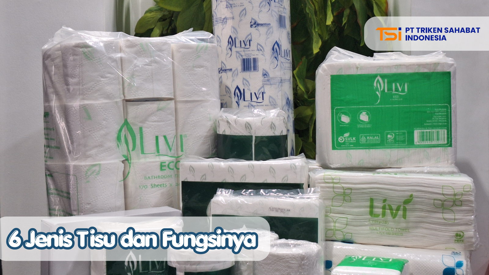 jenis tisu dan fungsinya