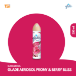 GLADE AEROSOL
