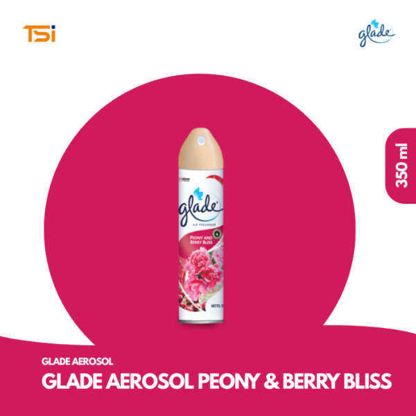 GLADE AEROSOL